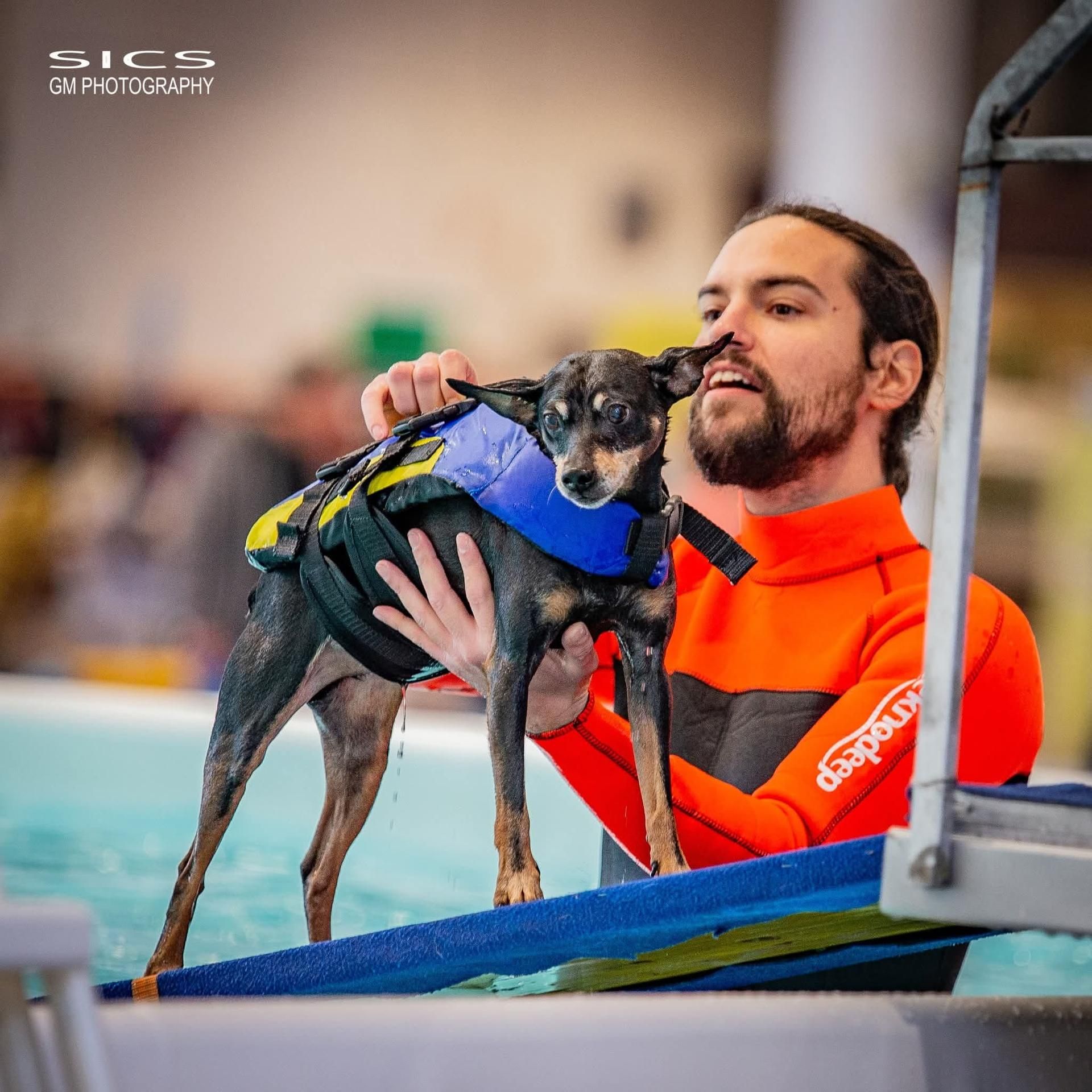 PetFestival