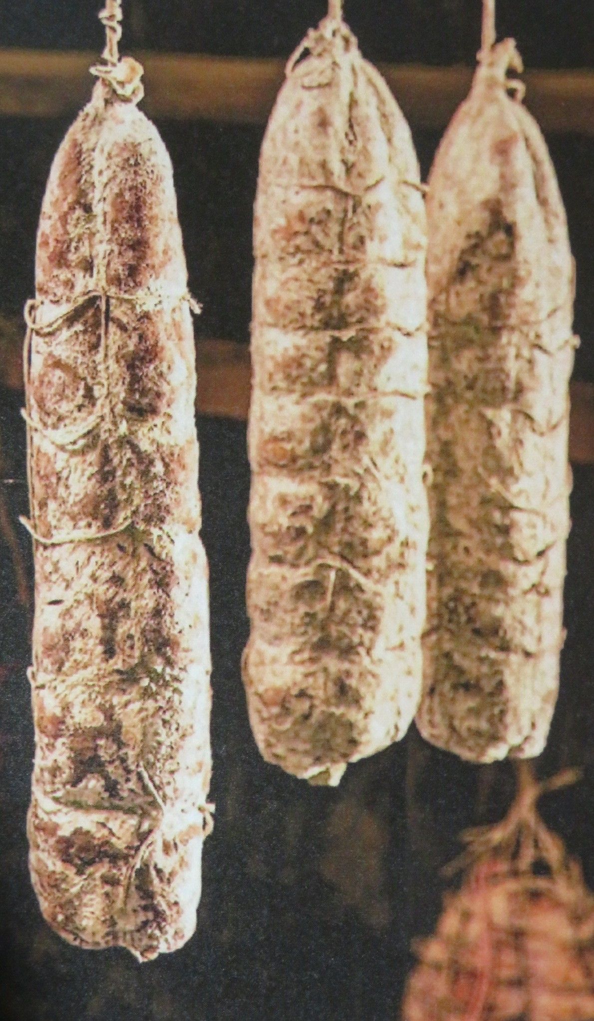 Salami nobili cremaschi