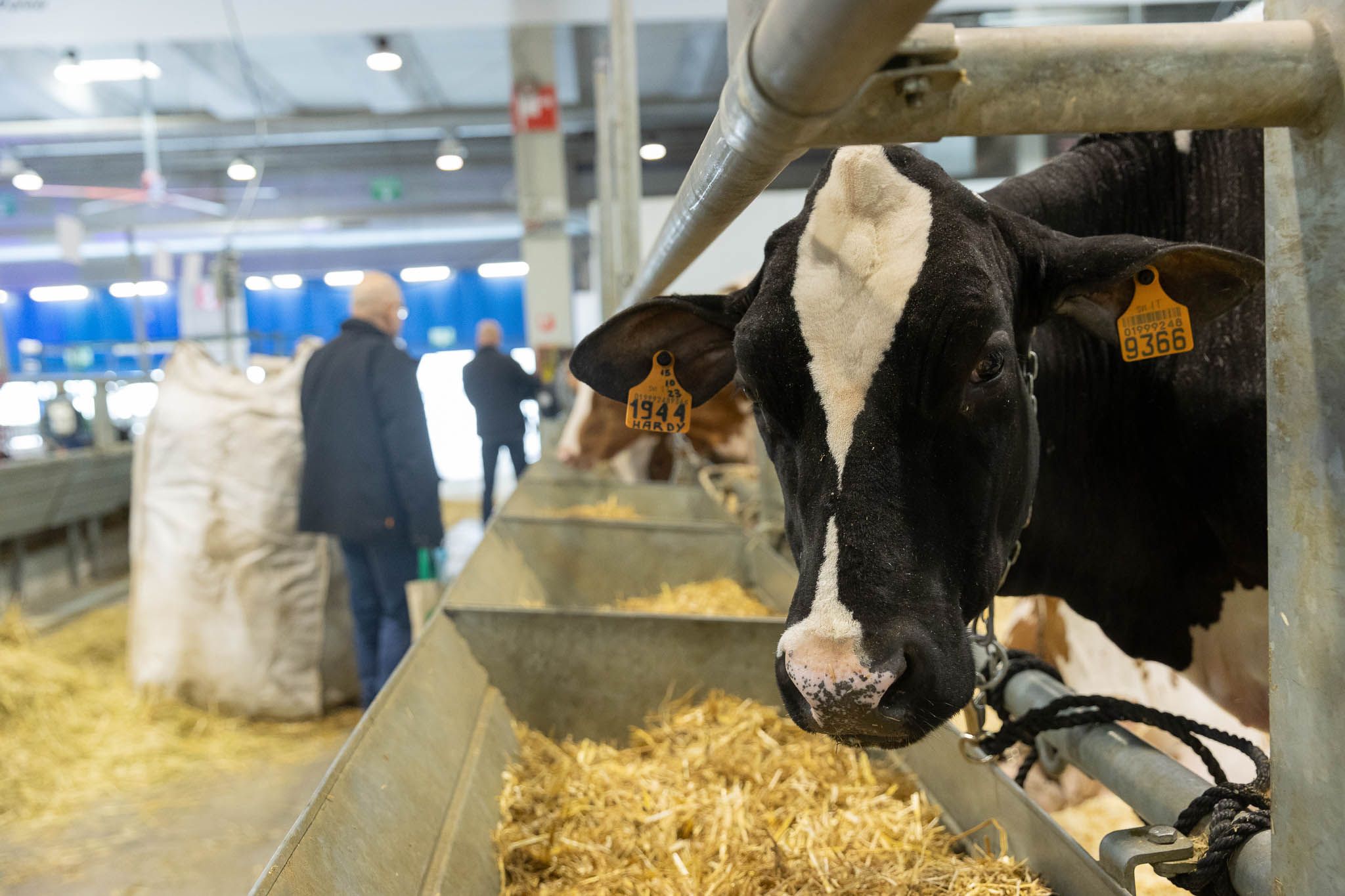 Fiere Zootecniche Internazionali di Cremona