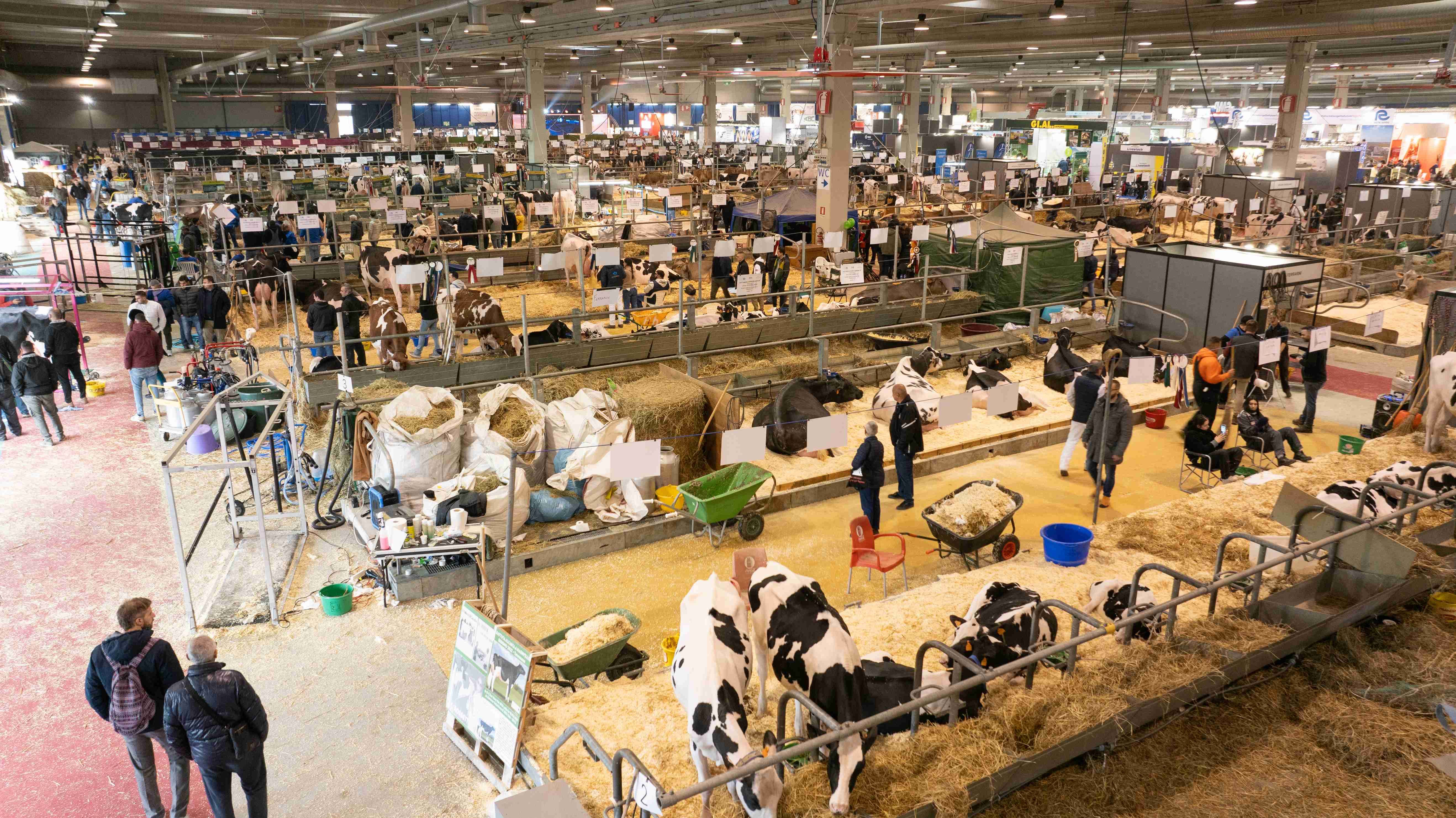 Fiere Zootecniche Internazionali